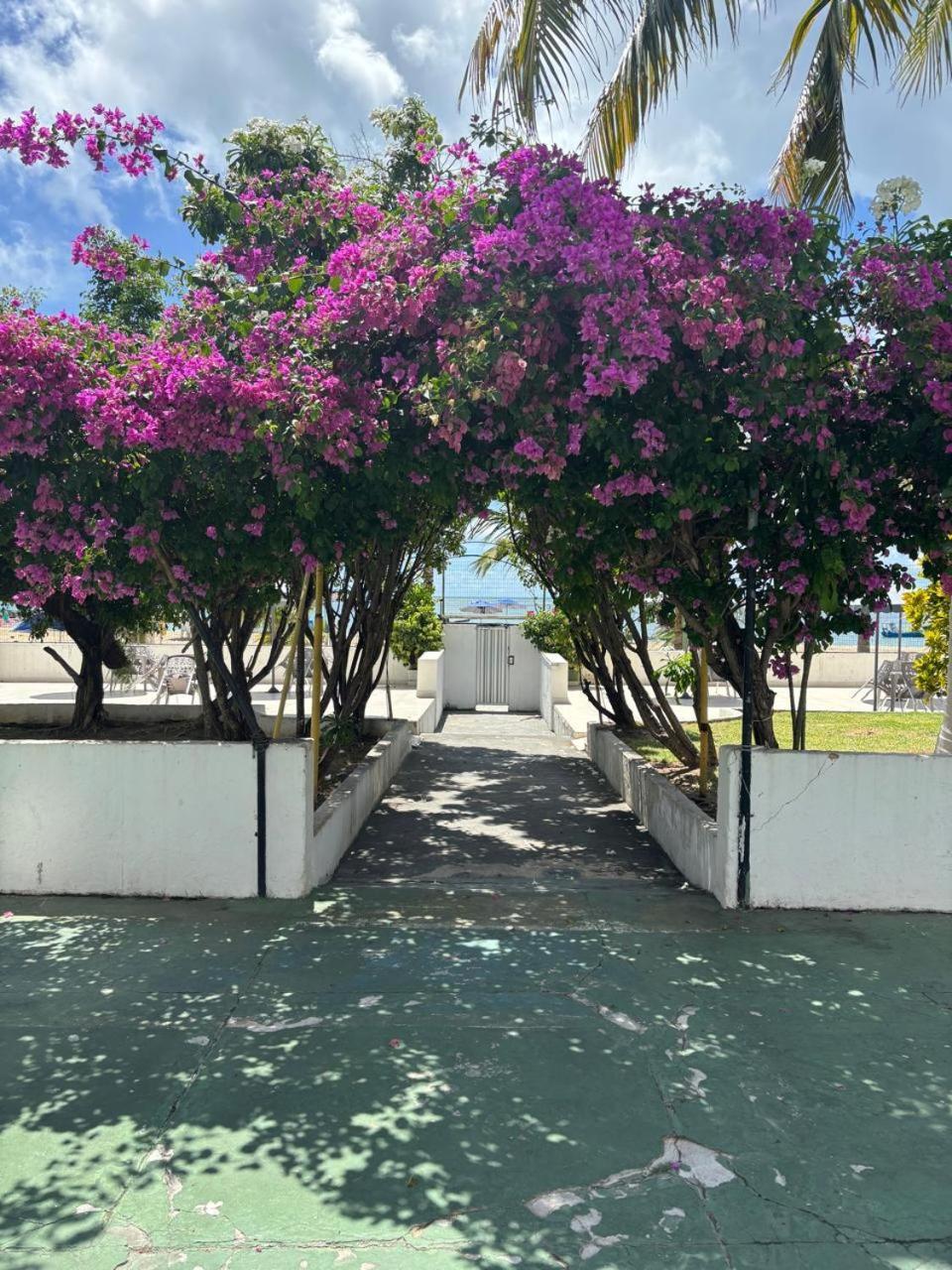 Apto 3 Quartos Pe Na Areia Prox De Recife Kültér fotó